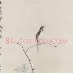 华嵒蔷薇山鸟轴