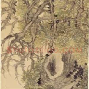 赵之谦古柏灵芝图轴