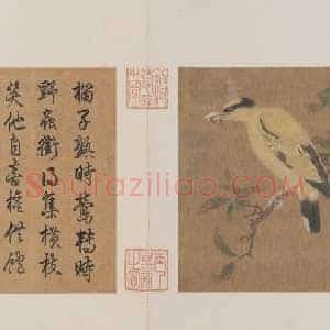 榴枝黄鸟图页