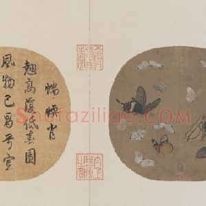 晴春蝶戏图页