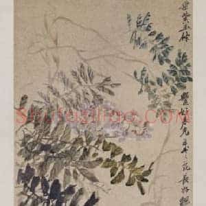 吴昌硕紫藤图轴