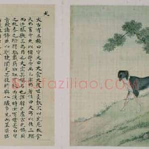 兽谱图册——犬